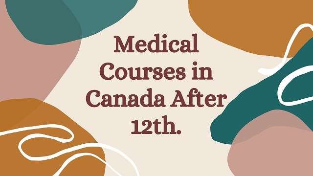 Colorful bag round with brown text words medical courses in Canada after 12th
